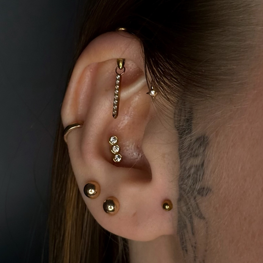 1PC G23 Titanium Hidden Vertic - Rook Curved Barbell review and price